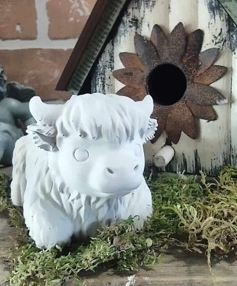 higland cow succulent planter