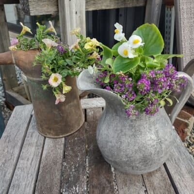 Aluminum Pitcher Garden