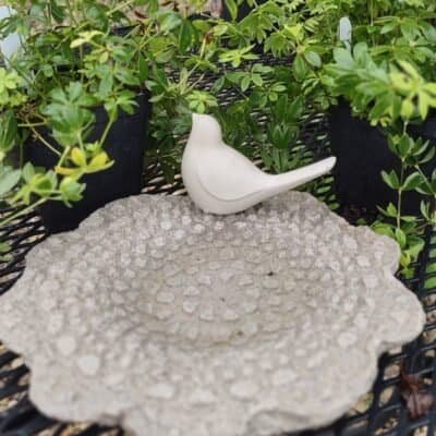 concrete lacy bowl