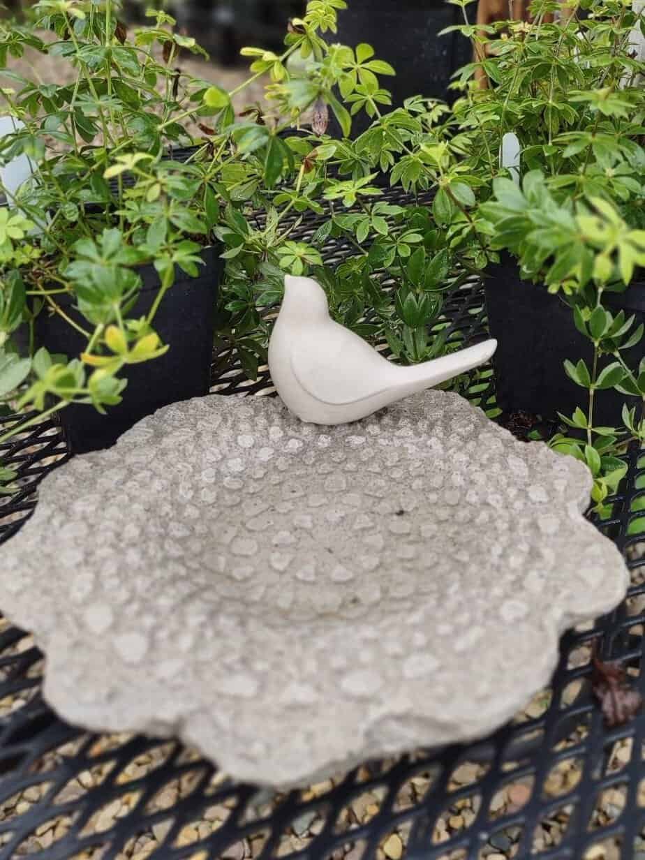 concrete lacy bowl