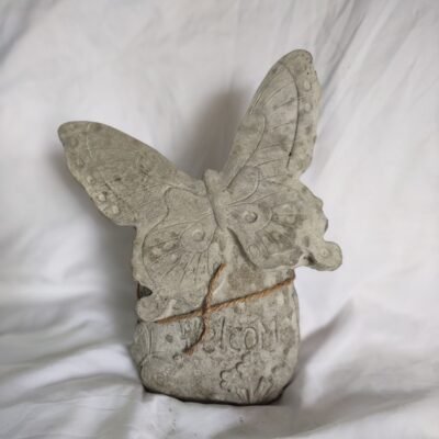 Welcome Butterfly on Rock