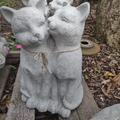 concrete kitten pair