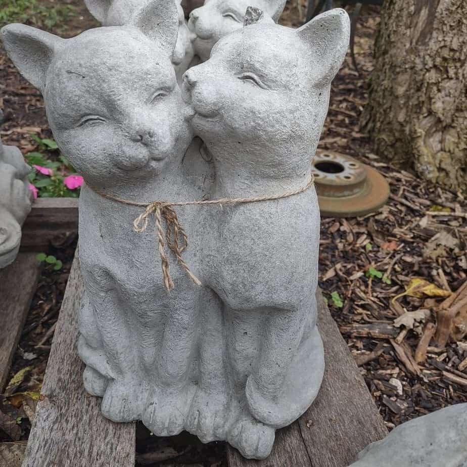 concrete kitten pair